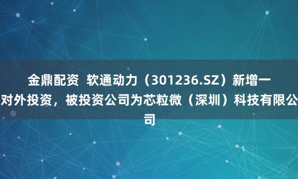 金鼎配资  软通动力（301236.SZ）新增一起对外投资，被投资公司为芯粒微（深圳）科技有限公司