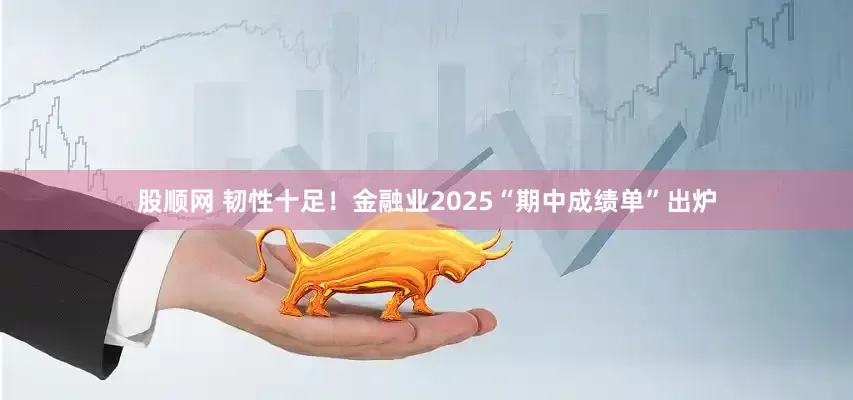 股顺网 韧性十足！金融业2025“期中成绩单”出炉