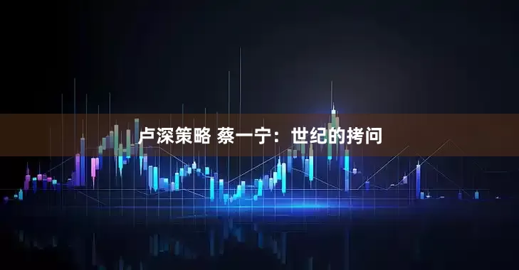 卢深策略 蔡一宁：世纪的拷问