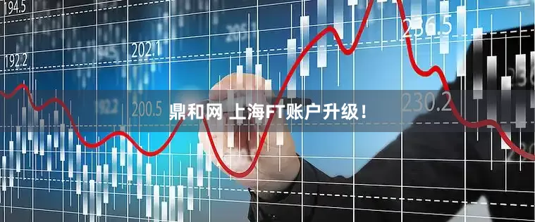 鼎和网 上海FT账户升级！