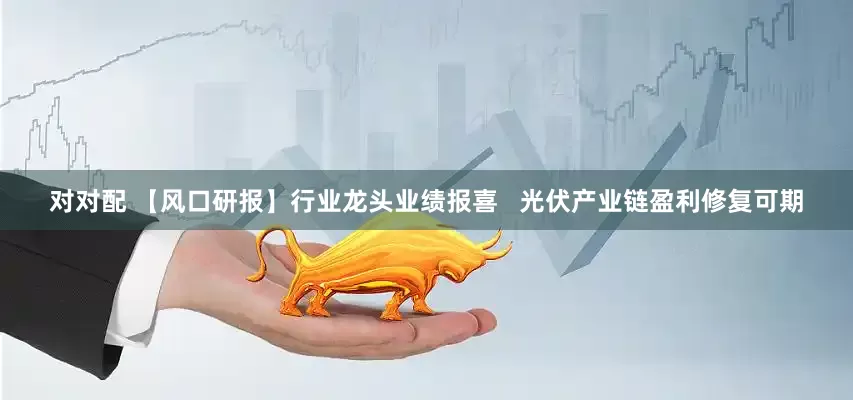 对对配 【风口研报】行业龙头业绩报喜   光伏产业链盈利修复可期